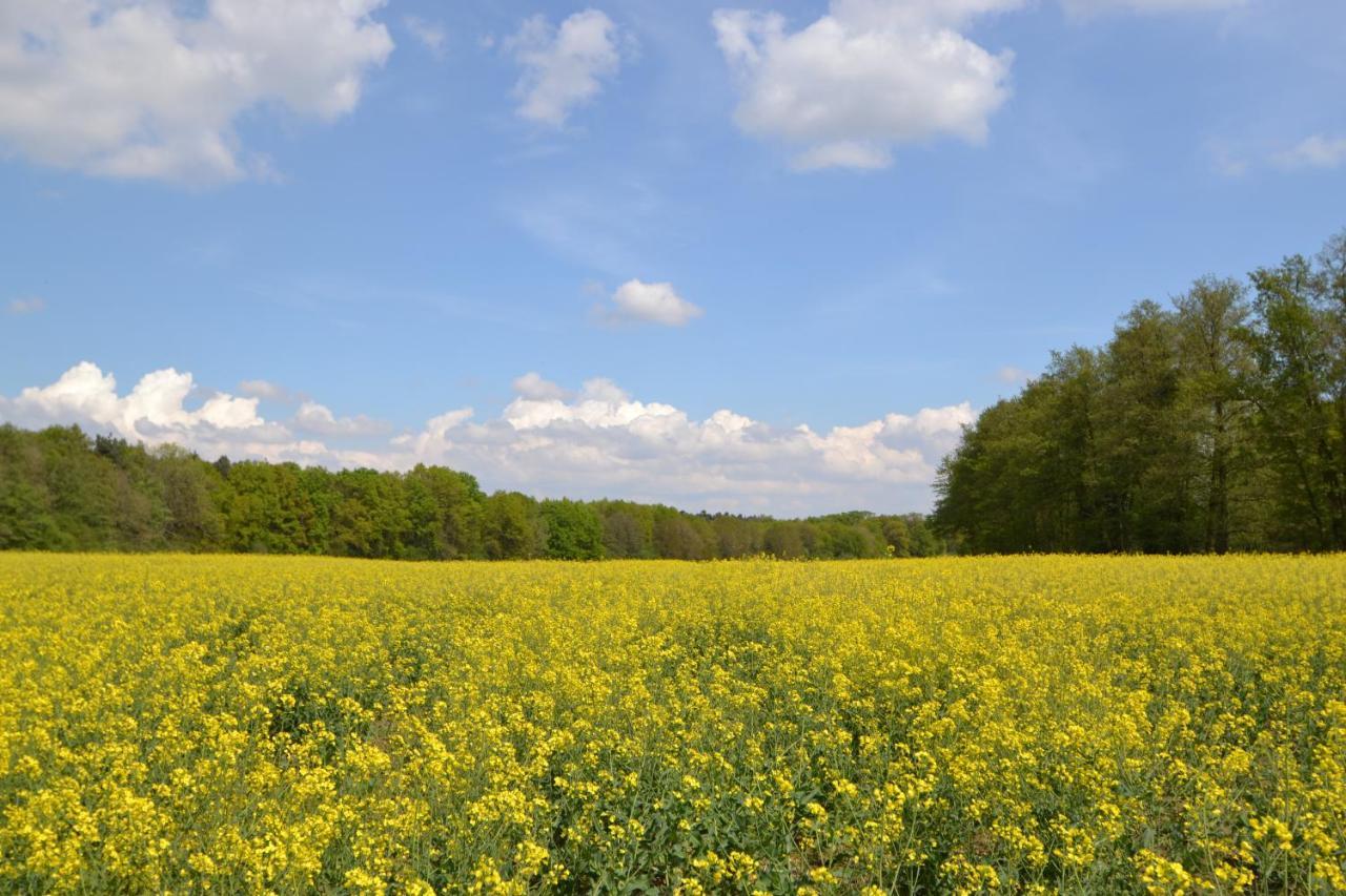Zauber Der Pfalz Romerberg Екстер'єр фото